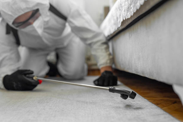Professional Bed Bug Control technician working in Montgomery County County, KS